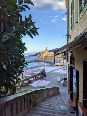 Aqua Camogli